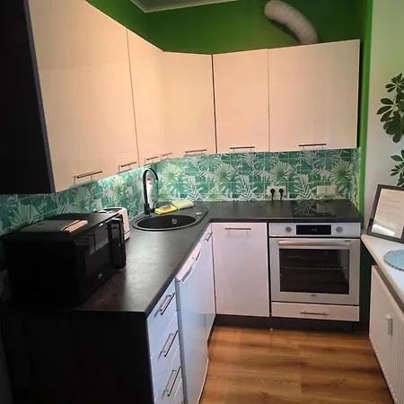 Apartament Green- Guest Apartment- Tapa
